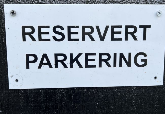 Leilighet i Hemsedal - Romslig leilighet nær Hemsedal skisenter Leilighet i Hemsedal - Romslig leilighet nær Hemsedal skisenter