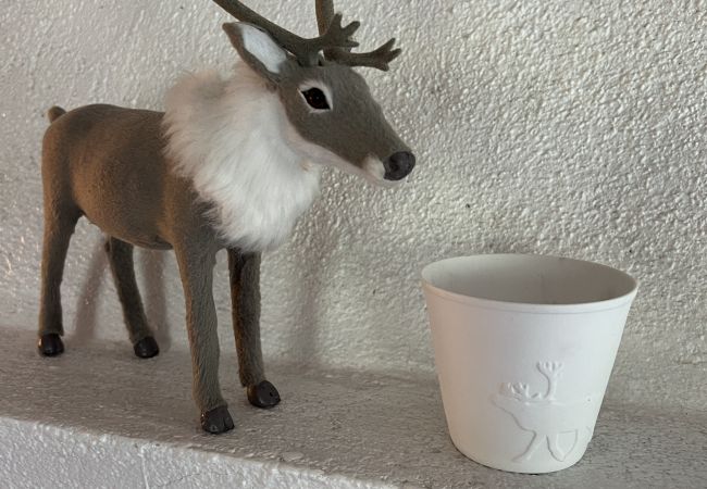 Leilighet i Hemsedal - Romslig leilighet nær Hemsedal skisenter Leilighet i Hemsedal - Romslig leilighet nær Hemsedal skisenter