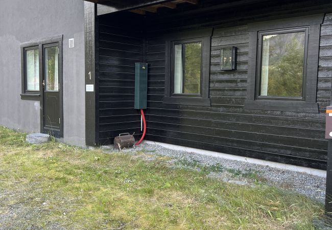 Leilighet i Hemsedal - Romslig leilighet nær Hemsedal skisenter Leilighet i Hemsedal - Romslig leilighet nær Hemsedal skisenter