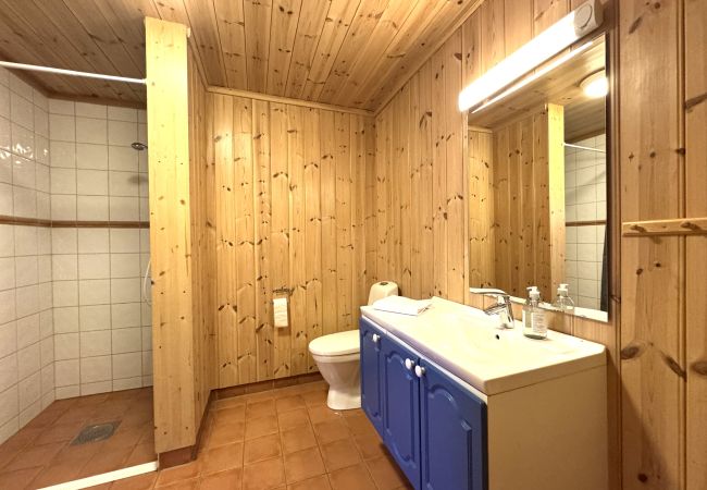 Leilighet i Hemsedal - Romslig leilighet nær Hemsedal skisenter Leilighet i Hemsedal - Romslig leilighet nær Hemsedal skisenter