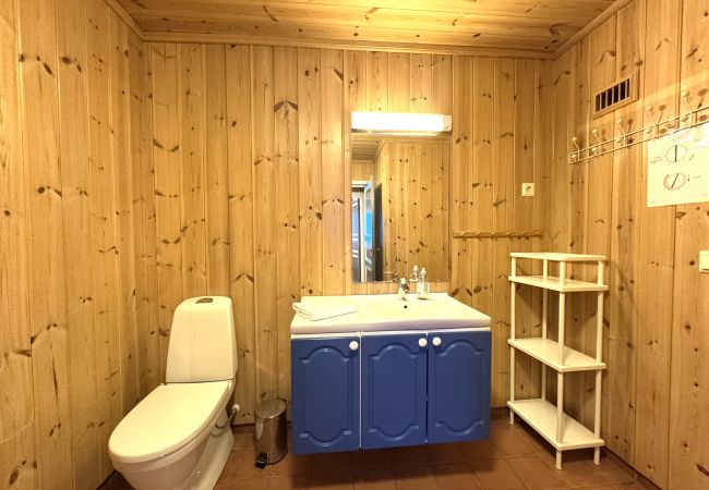 Leilighet i Hemsedal - Romslig leilighet nær Hemsedal skisenter Leilighet i Hemsedal - Romslig leilighet nær Hemsedal skisenter