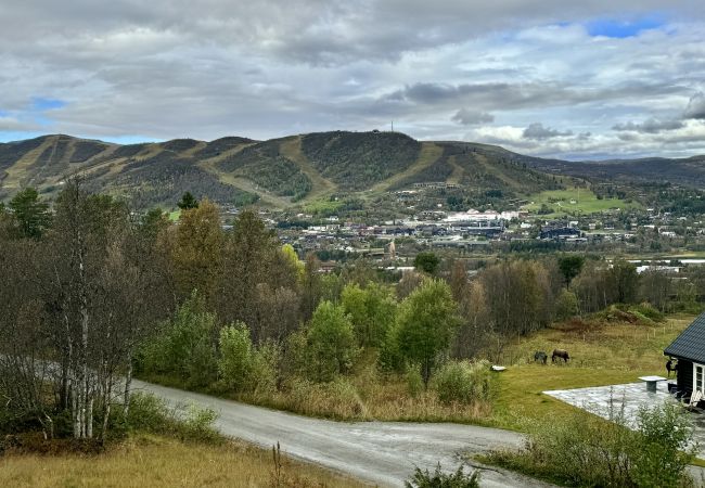 Hytte i Hol - Fjellro Hytte i Hol - Fjellro