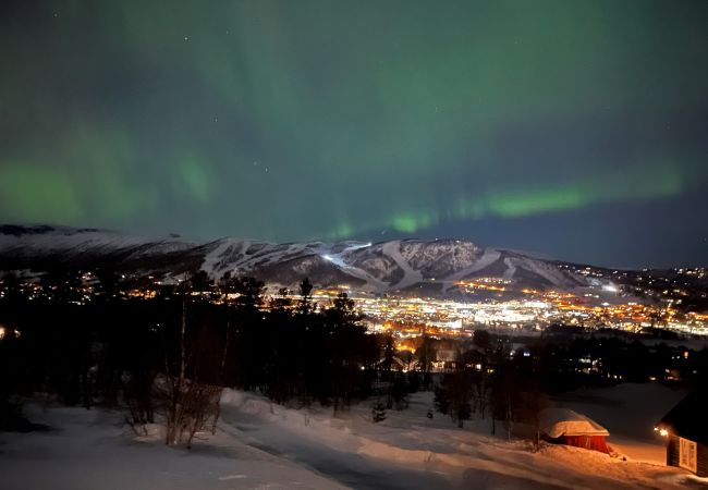 Hytte i Hol - Fjellro Hytte i Hol - Fjellro