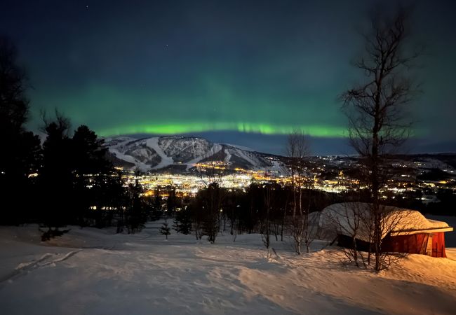 Hytte i Hol - Fjellro Hytte i Hol - Fjellro