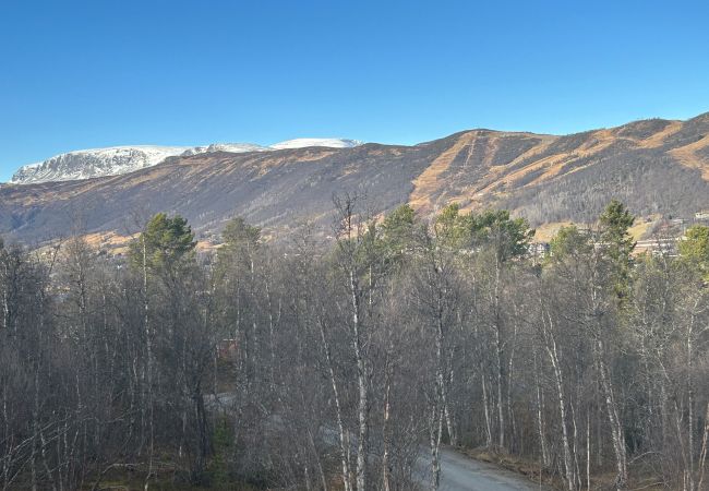 Hytte i Hol - Fjellro Hytte i Hol - Fjellro