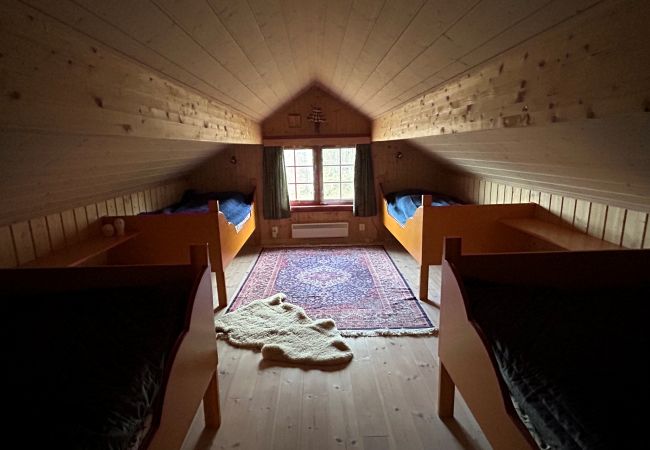 Hytte i Hol - Fjellro Hytte i Hol - Fjellro