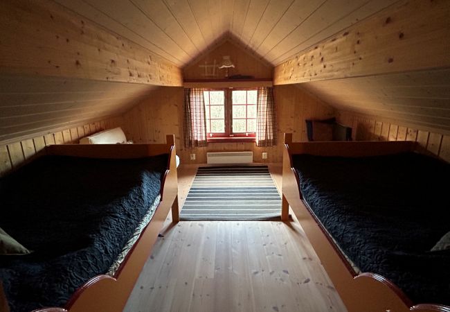 Hytte i Hol - Fjellro Hytte i Hol - Fjellro