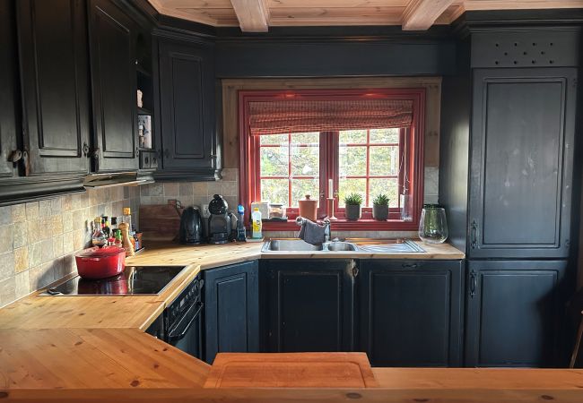 Hytte i Hol - Fjellro Hytte i Hol - Fjellro