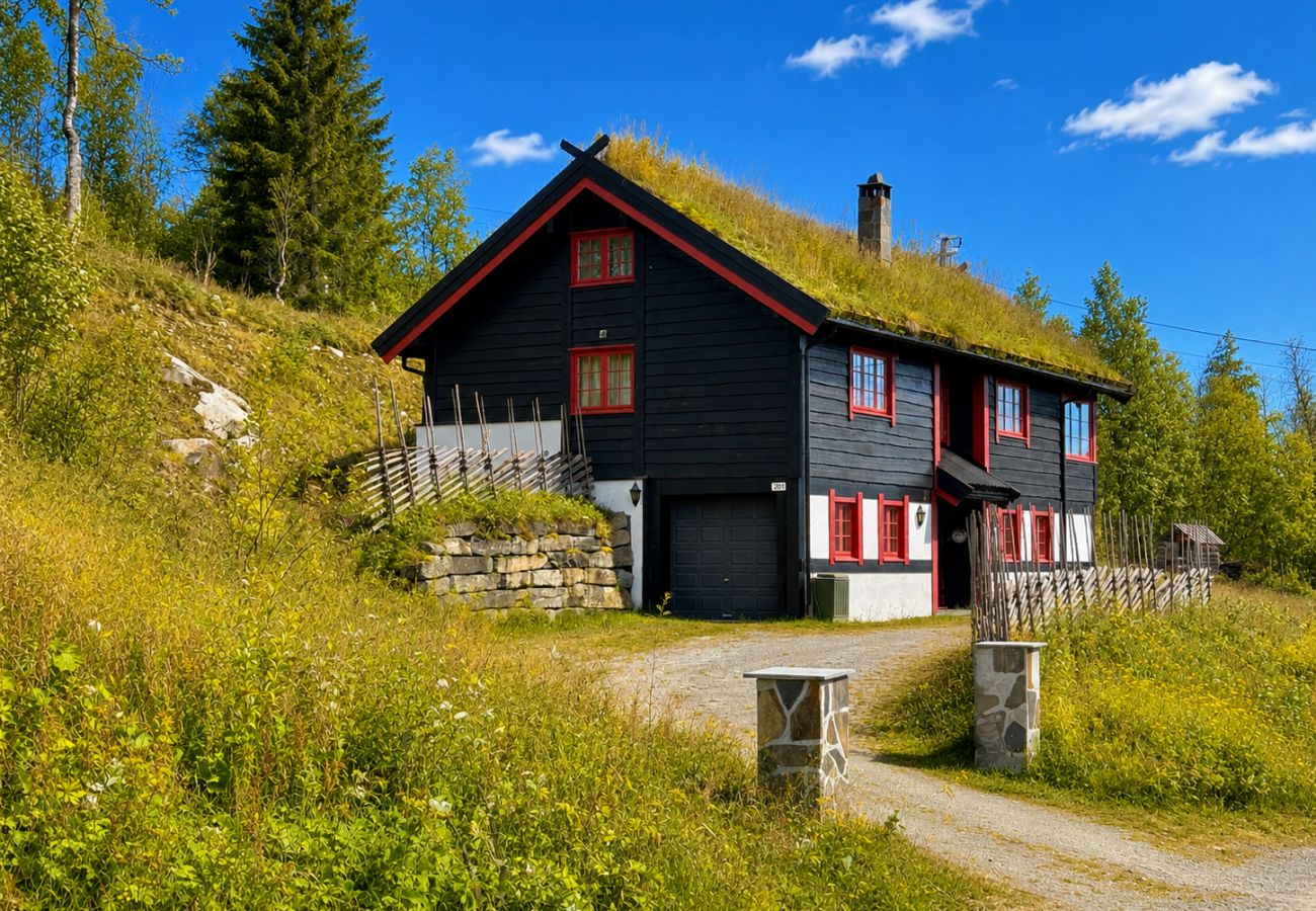 Hytte i Hol - Fjellro