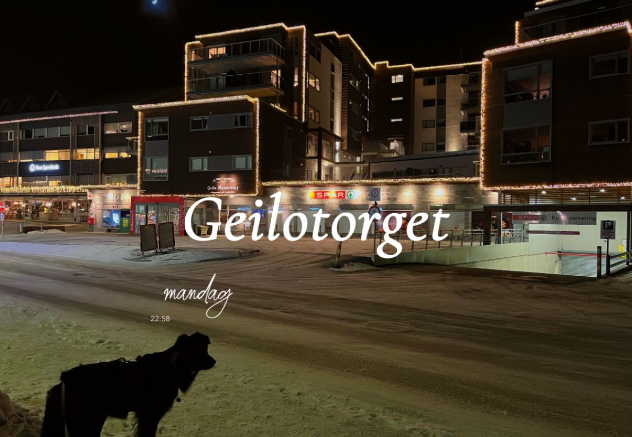 Leilighet i Hol - Modern apartment in the heart of Geilo center