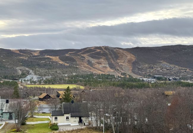 Leilighet i Hol - Flott toppleilighet sentralt på Geilo – fantastisk utsikt Leilighet i Hol - Flott toppleilighet sentralt på Geilo – fantastisk utsikt