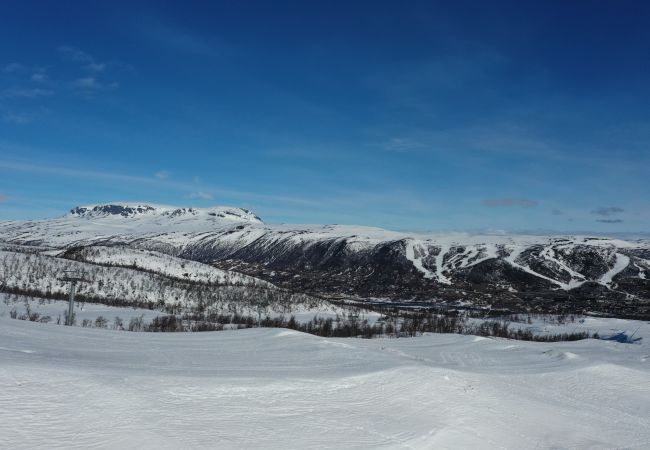 Leilighet i Hol - Exclusive and cozy apartment at Kikut Panorama, Geilo - Ski in/ski out Leilighet i Hol - Exclusive and cozy apartment at Kikut Panorama, Geilo - Ski in/ski out