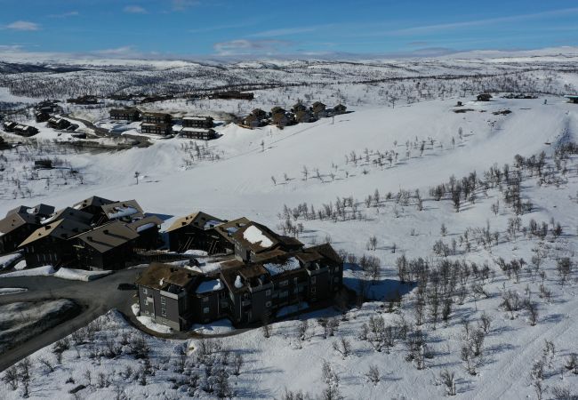 Leilighet i Hol - Exclusive and cozy apartment at Kikut Panorama, Geilo - Ski in/ski out Leilighet i Hol - Exclusive and cozy apartment at Kikut Panorama, Geilo - Ski in/ski out