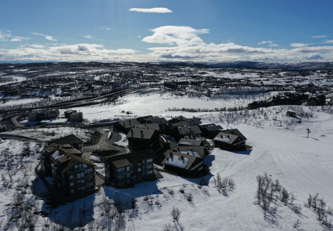 Leilighet i Hol - Exclusive and cozy apartment at Kikut Panorama, Geilo - Ski in/ski out Leilighet i Hol - Exclusive and cozy apartment at Kikut Panorama, Geilo - Ski in/ski out
