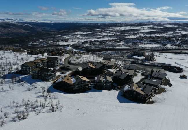 Leilighet i Hol - Exclusive and cozy apartment at Kikut Panorama, Geilo - Ski in/ski out Leilighet i Hol - Exclusive and cozy apartment at Kikut Panorama, Geilo - Ski in/ski out