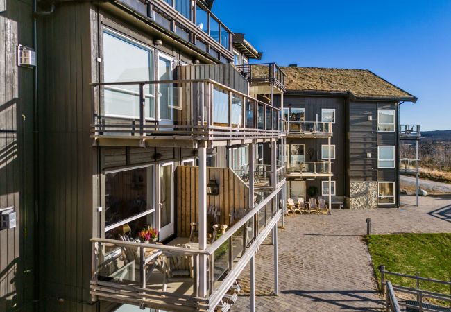 Leilighet i Hol - Exclusive and cozy apartment at Kikut Panorama, Geilo - Ski in/ski out Leilighet i Hol - Exclusive and cozy apartment at Kikut Panorama, Geilo - Ski in/ski out