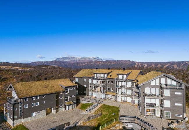 Leilighet i Hol - Exclusive and cozy apartment at Kikut Panorama, Geilo - Ski in/ski out Leilighet i Hol - Exclusive and cozy apartment at Kikut Panorama, Geilo - Ski in/ski out