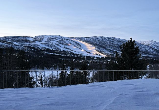 Leilighet i Hol - Exclusive and cozy apartment central Geilo area Leilighet i Hol - Exclusive and cozy apartment central Geilo area