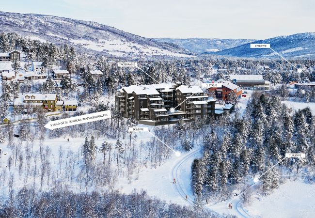 Leilighet i Hol - Exclusive and cozy apartment central Geilo area Leilighet i Hol - Exclusive and cozy apartment central Geilo area