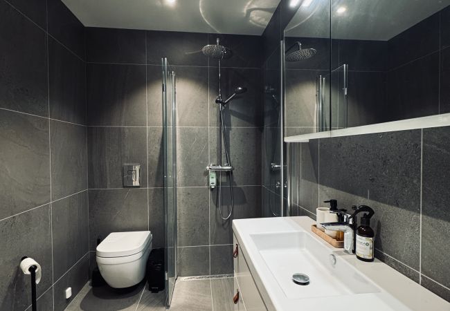 Leilighet i Hol - Exclusive and cozy apartment central Geilo area Leilighet i Hol - Exclusive and cozy apartment central Geilo area