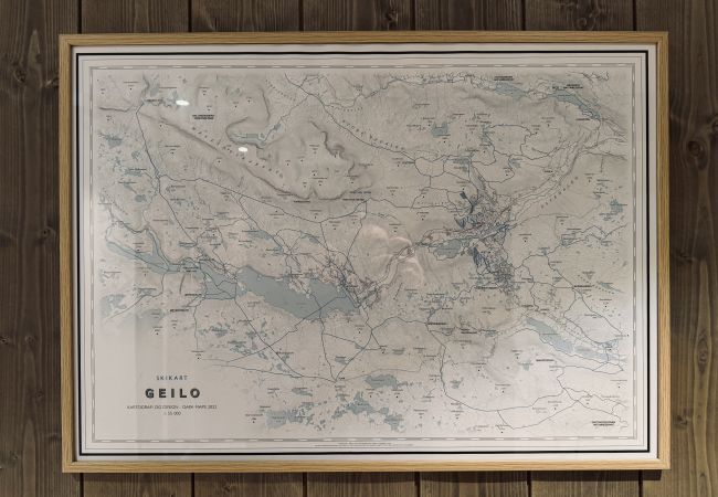 Leilighet i Hol - Exclusive and cozy apartment central Geilo area Leilighet i Hol - Exclusive and cozy apartment central Geilo area