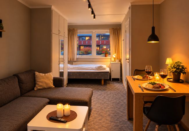Studioleilighet i Gol - Newly renovated studio apartment in central Gol