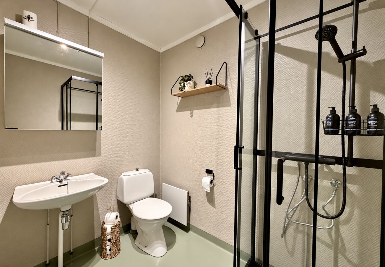 Studioleilighet i Gol - Newly renovated studio apartment in central Gol