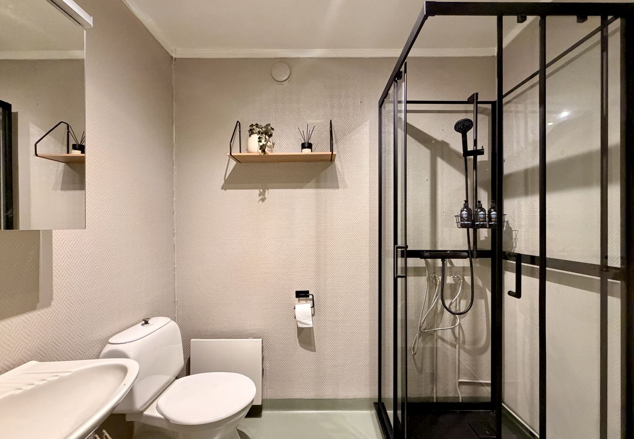 Studioleilighet i Gol - Newly renovated studio apartment in central Gol