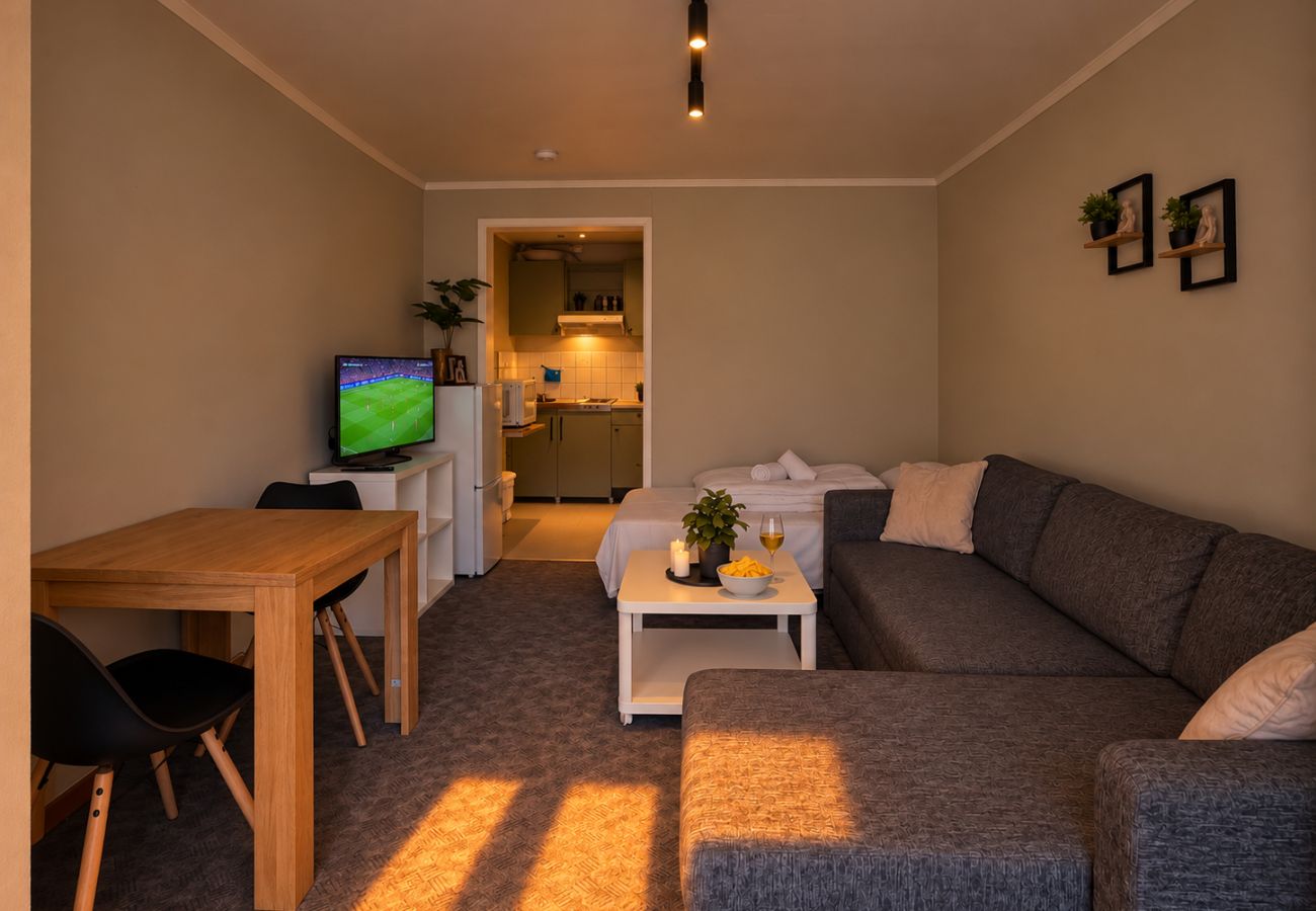Studioleilighet i Gol - Newly renovated studio apartment in central Gol