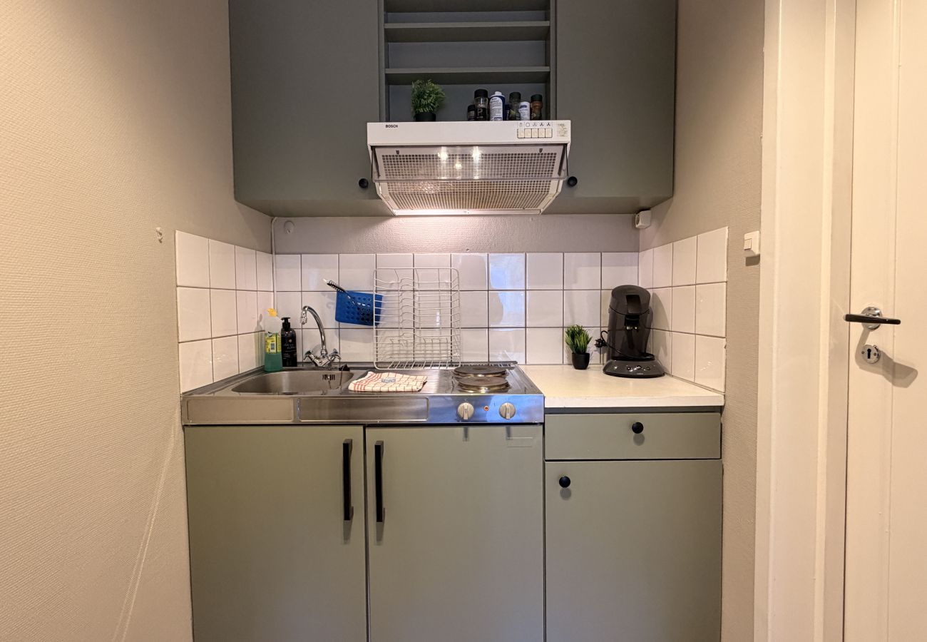 Studioleilighet i Gol - Newly renovated studio apartment in central Gol