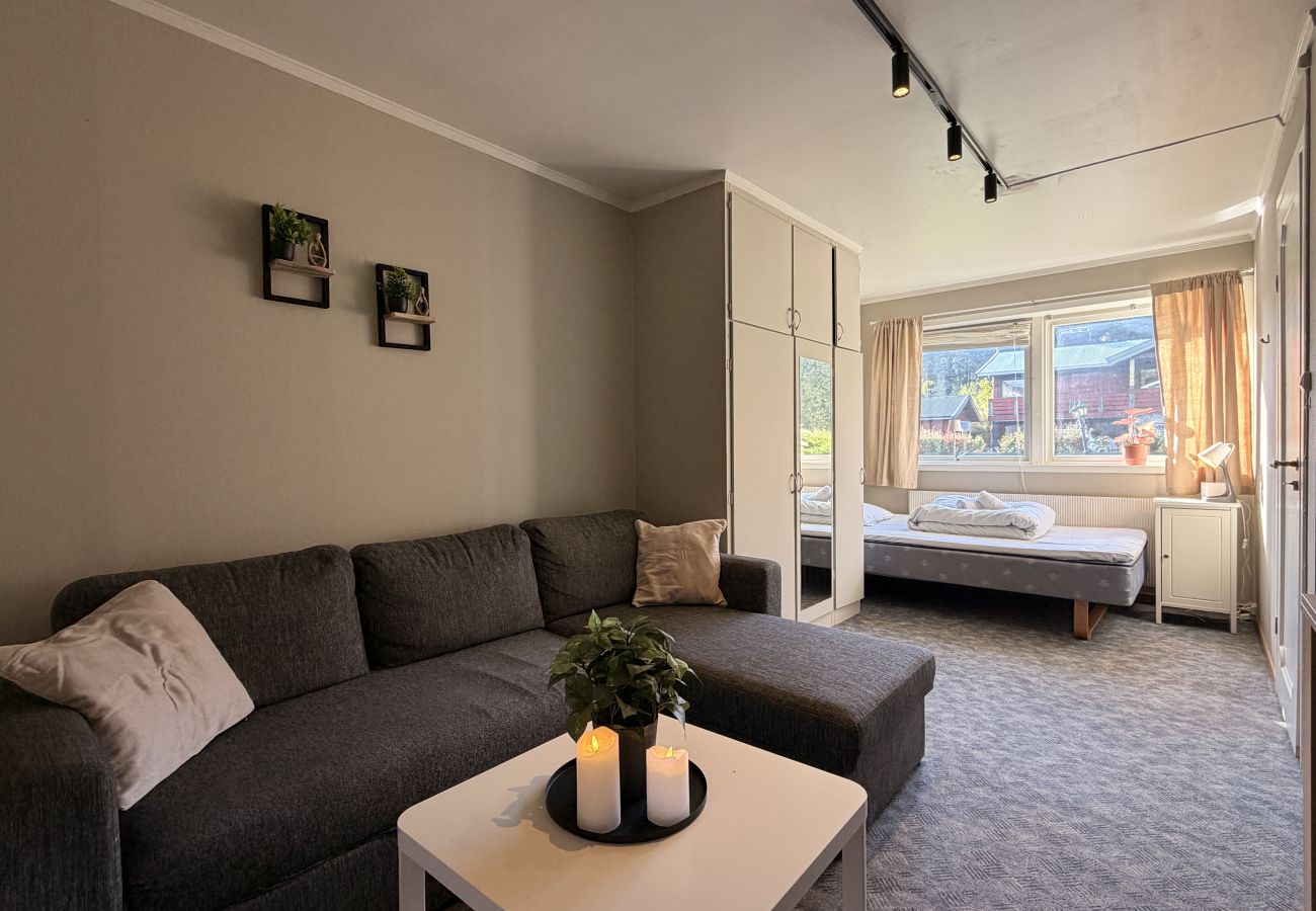 Studioleilighet i Gol - Newly renovated studio apartment in central Gol