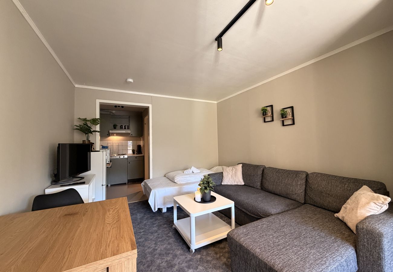 Studioleilighet i Gol - Newly renovated studio apartment in central Gol
