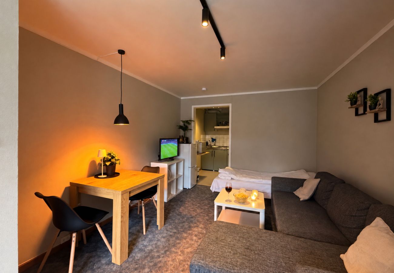 Studioleilighet i Gol - Newly renovated studio apartment in central Gol