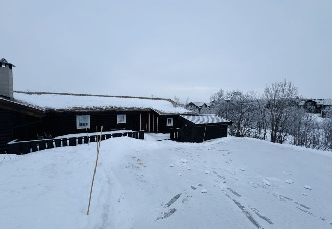 Hytte i Hol - Large, cozy, and spacious cabin in Geilo Hytte i Hol - Large, cozy, and spacious cabin in Geilo