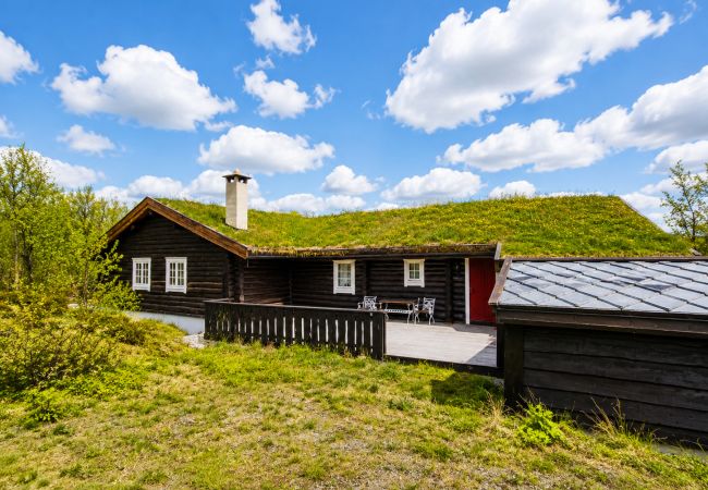 Hytte i Hol - Large, cozy, and spacious cabin in Geilo