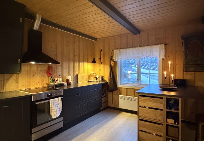 Hytte i Hol - Charming mountain retreat in Sudndalen Hytte i Hol - Charming mountain retreat in Sudndalen
