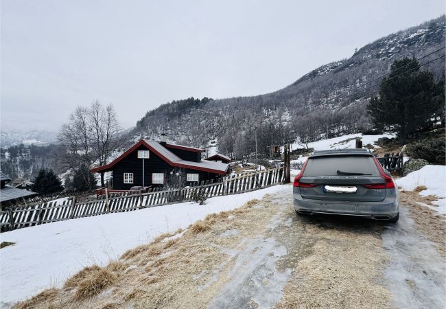 Hytte i Hol - Charming mountain retreat in Sudndalen Hytte i Hol - Charming mountain retreat in Sudndalen