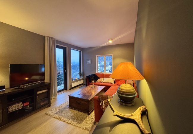 Hytte i Hol - Charming mountain retreat in Sudndalen Hytte i Hol - Charming mountain retreat in Sudndalen