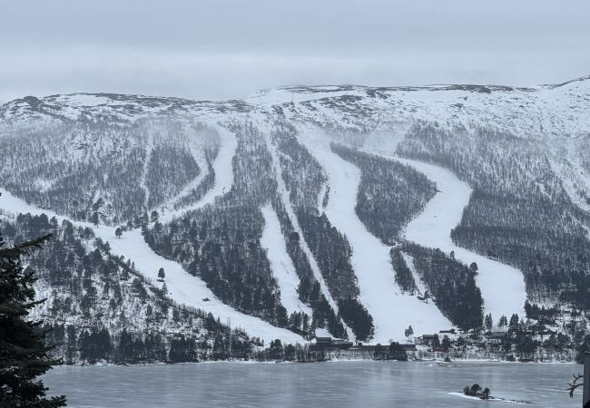 Hytte i Hol - Charming mountain retreat in Sudndalen Hytte i Hol - Charming mountain retreat in Sudndalen