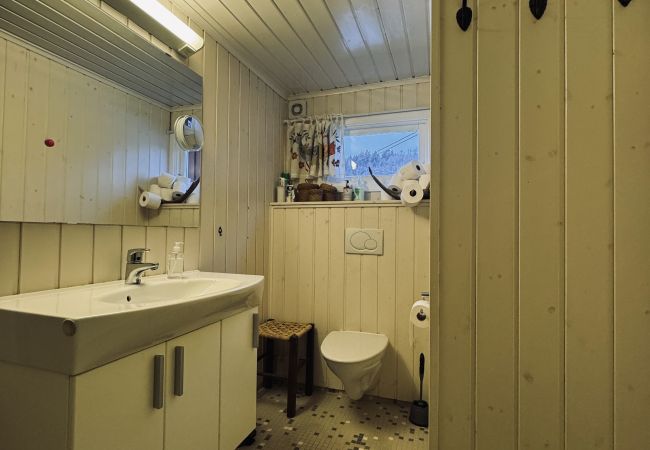 Hytte i Hol - Charming mountain retreat in Sudndalen Hytte i Hol - Charming mountain retreat in Sudndalen