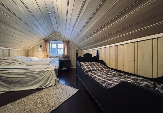 Hytte i Hol - Charming mountain retreat in Sudndalen Hytte i Hol - Charming mountain retreat in Sudndalen