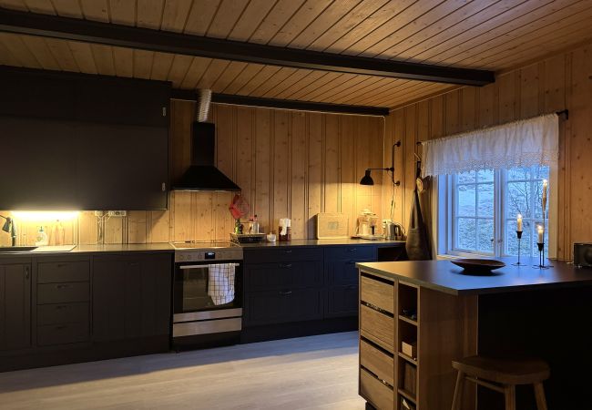 Hytte i Hol - Charming mountain retreat in Sudndalen Hytte i Hol - Charming mountain retreat in Sudndalen