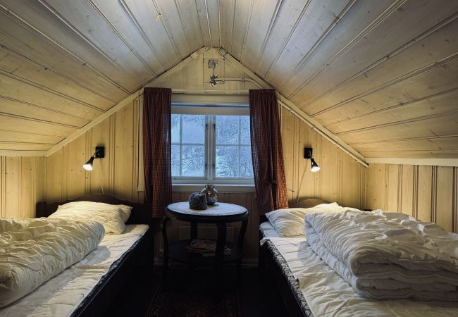 Hytte i Hol - Charming mountain retreat in Sudndalen Hytte i Hol - Charming mountain retreat in Sudndalen
