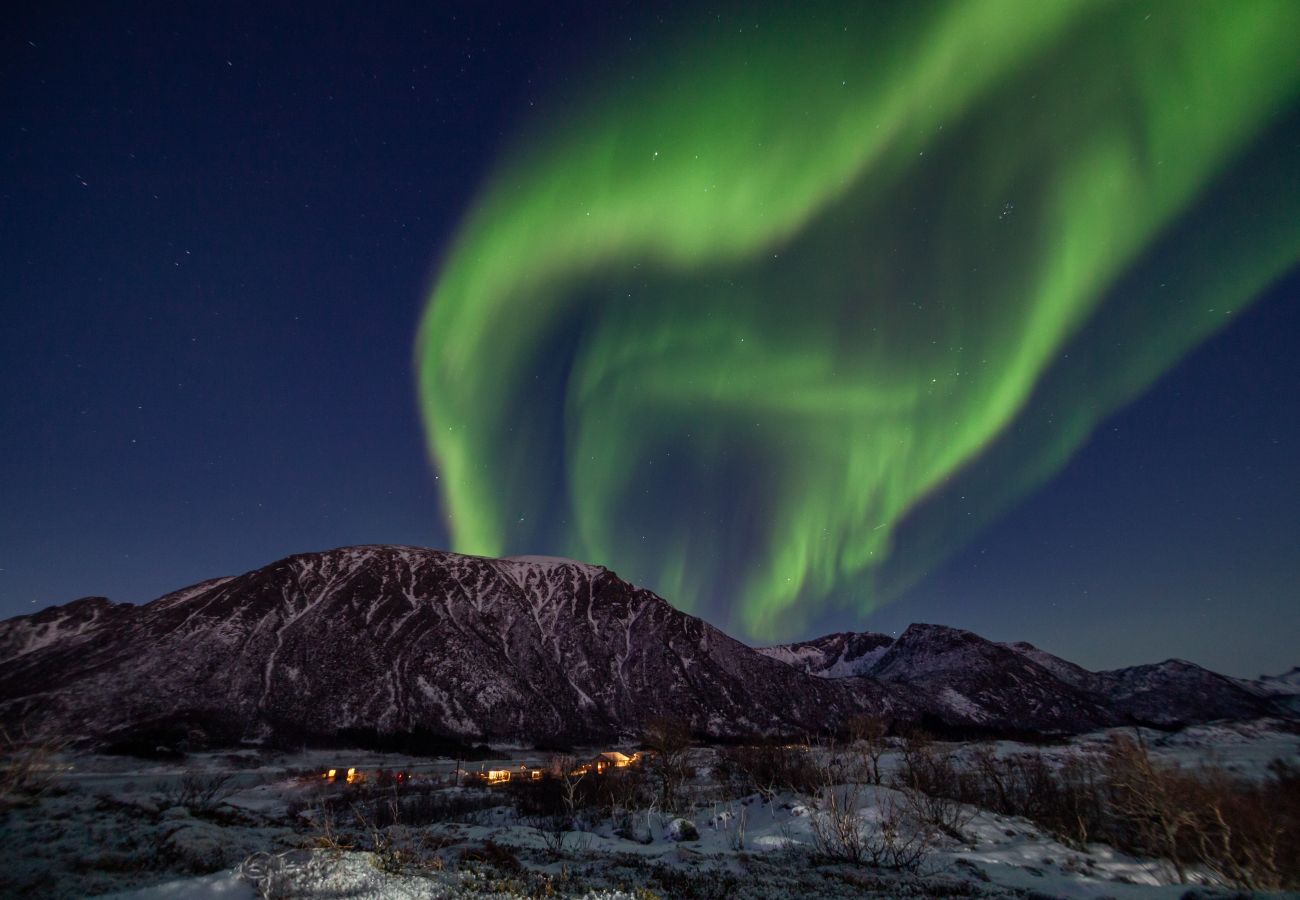 Hytte i Vågan - Fredheim, Northern Light Lodge