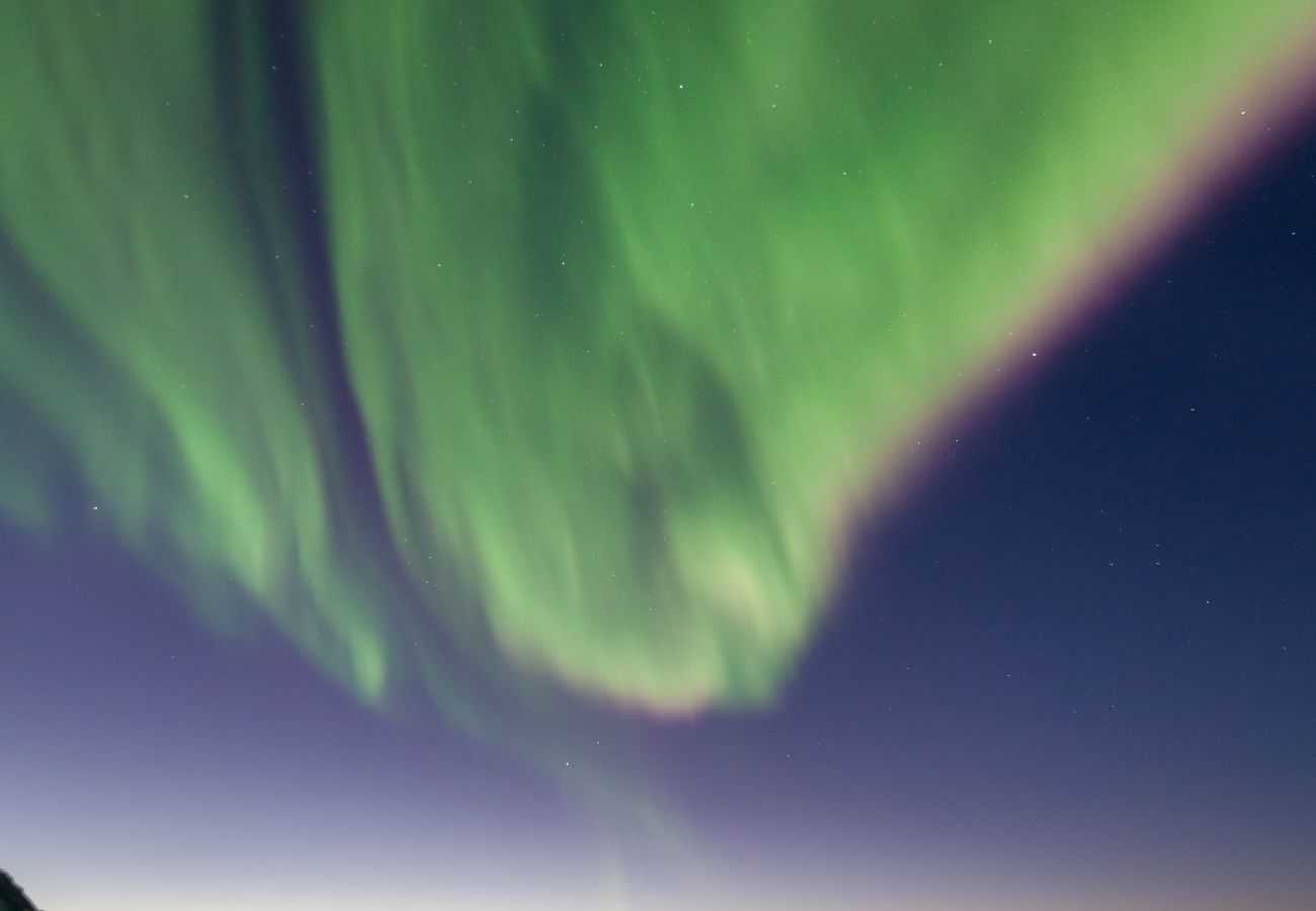 Hytte i Vågan - Fredheim, Northern Light Lodge