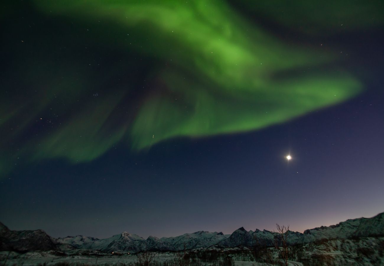 Hytte i Vågan - Fredheim, Northern Light Lodge