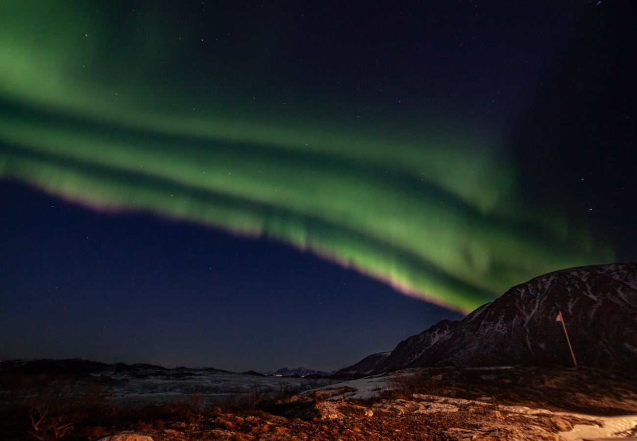 Hytte i Vågan - Fredheim, Northern Light Lodge