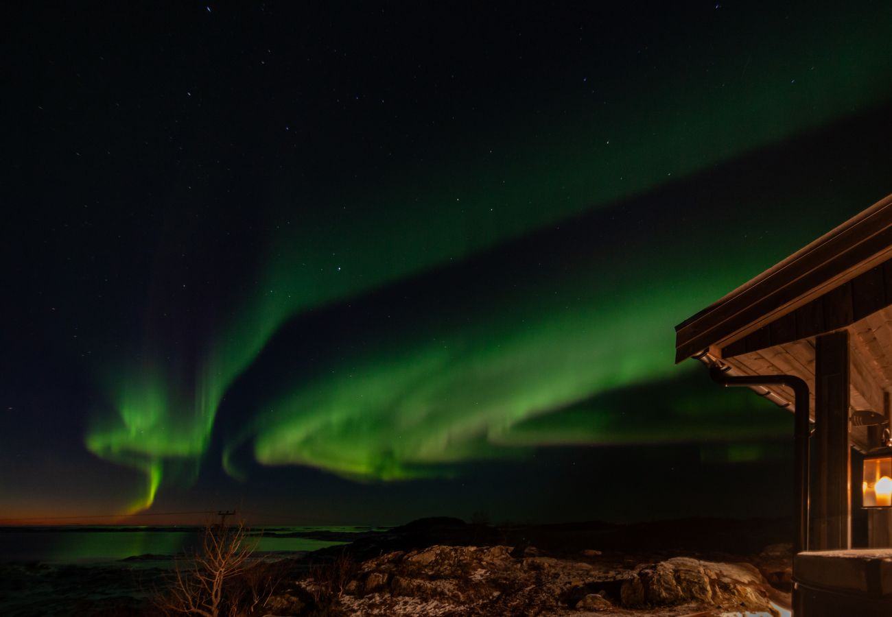 Hytte i Vågan - Fredheim, Northern Light Lodge