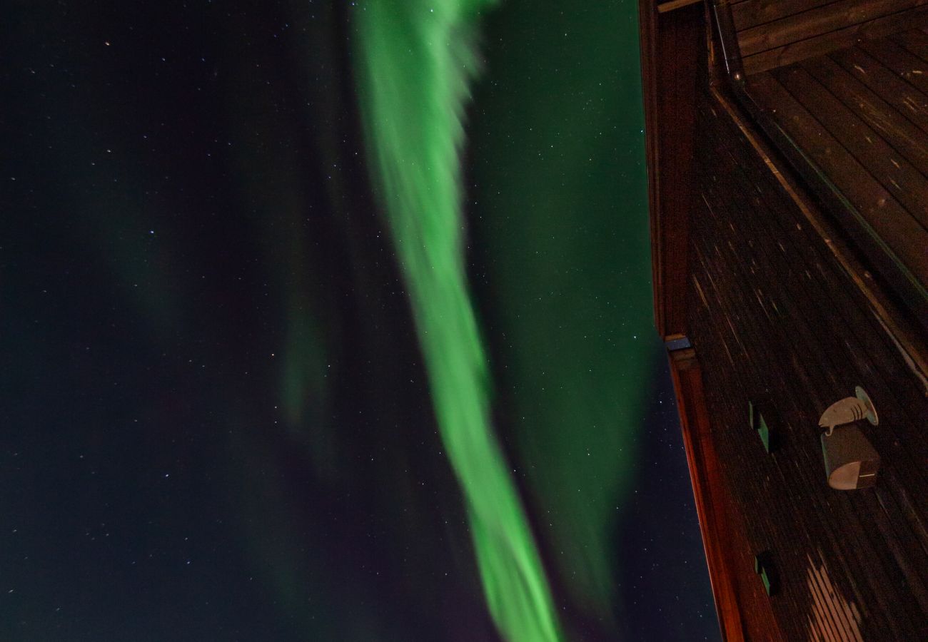 Hytte i Vågan - Fredheim, Northern Light Lodge