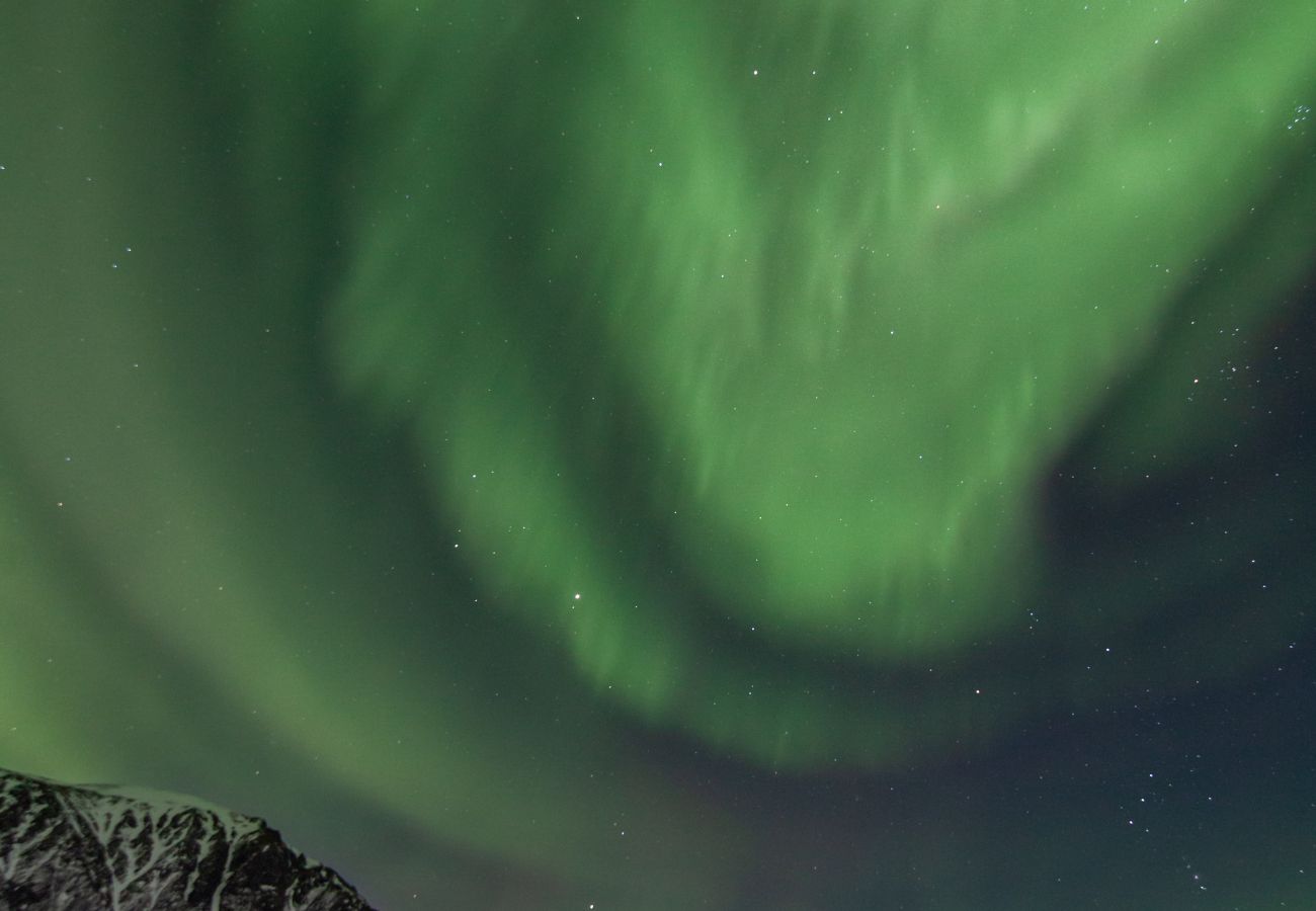 Hytte i Vågan - Fredheim, Northern Light Lodge